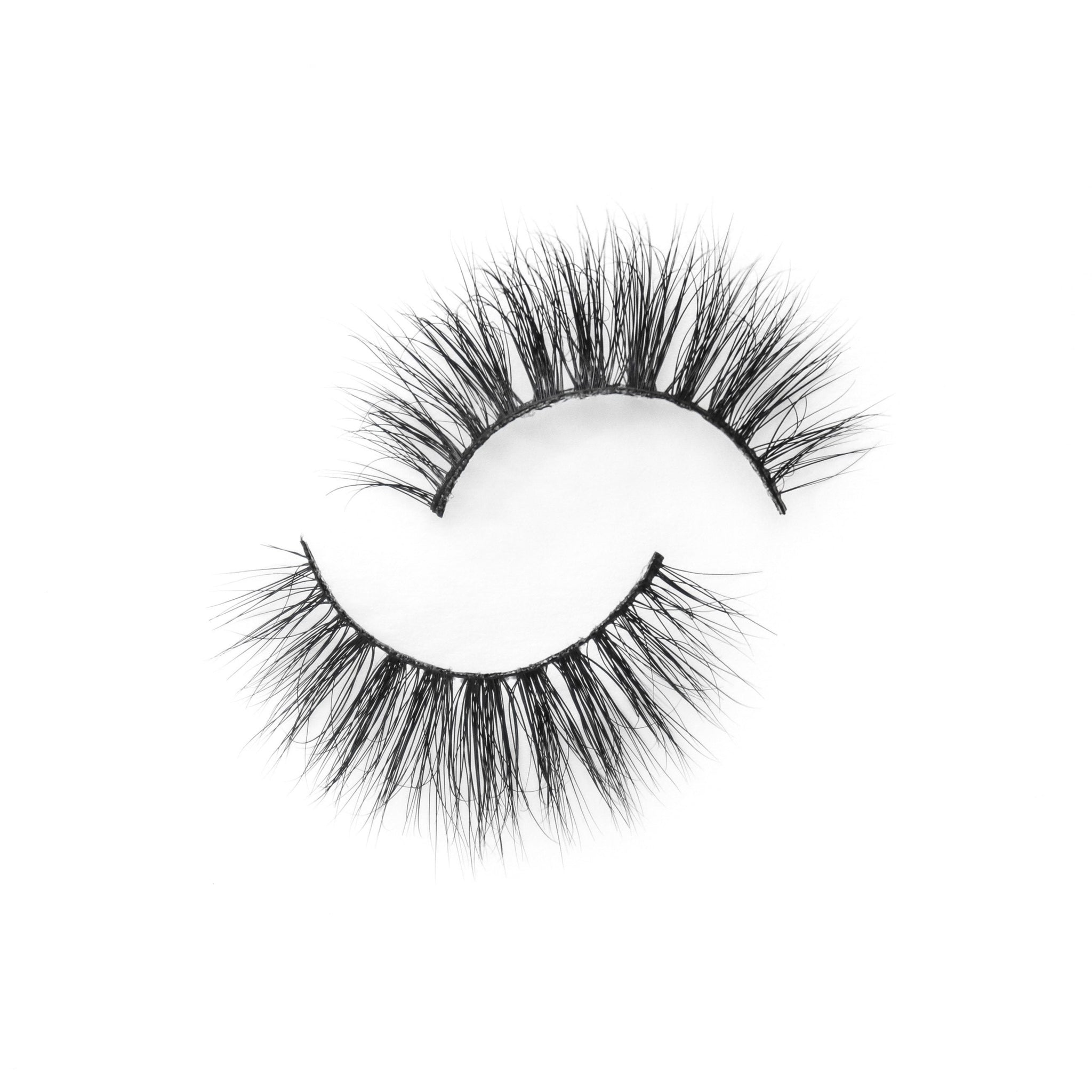 Brittany (2017730658363)